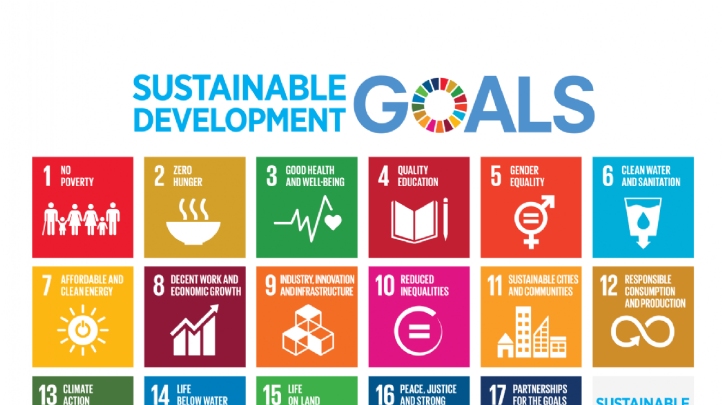The report is the latest in a string of publications highlighting national and business-level challenges in aligning with the SDGs